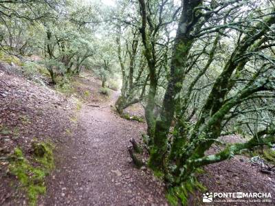 Pico Rocigalgo;Cascada Chorro,Cabañeros; selva de irati buitrago de lozoya trekking sierra de gredo